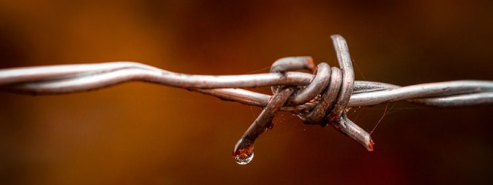 barbed-wire